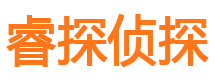 汝城市私家侦探